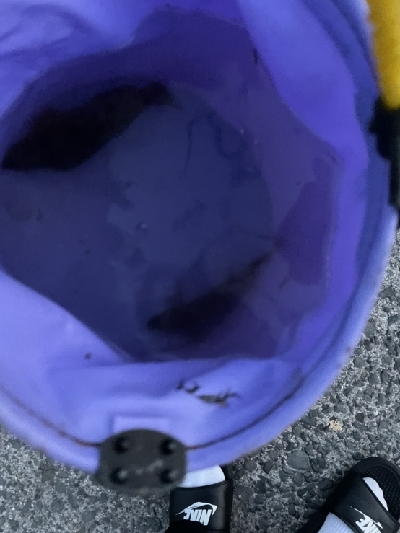 良い天気だったので