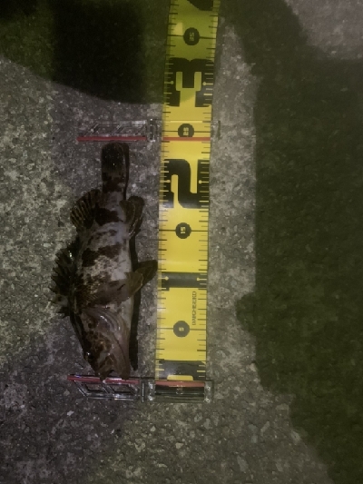 いつもと違う釣りで!