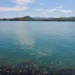 ファミリーフィッシング