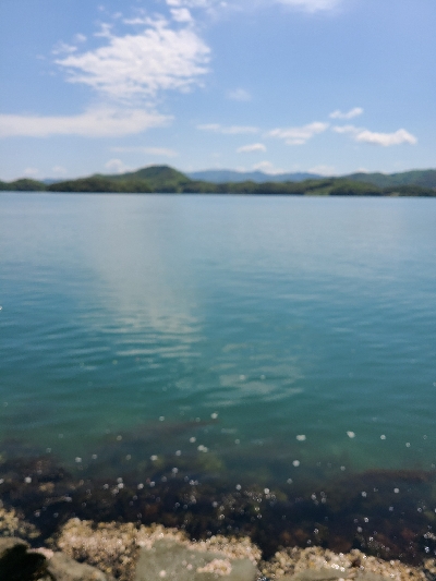 ファミリーフィッシング