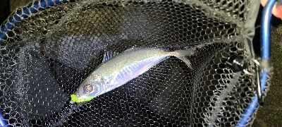 フロートアジング