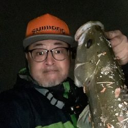 バチ抜けシーバス