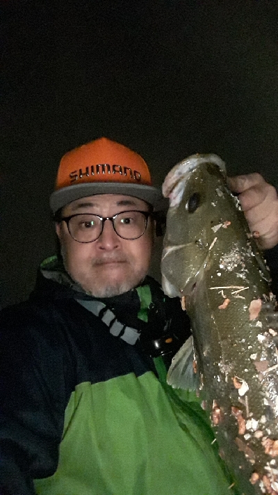 バチ抜けシーバス