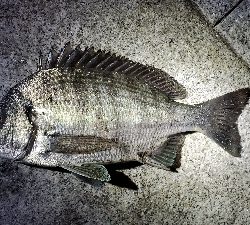 何して食べようかな〜？