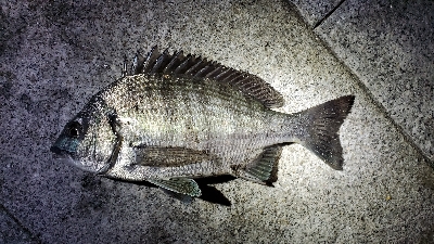 何して食べようかな〜？