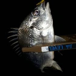 雨が降ろうがそれがなんだぁー