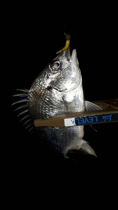 雨が降ろうがそれがなんだぁー