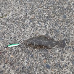 お昼の短時間釣行