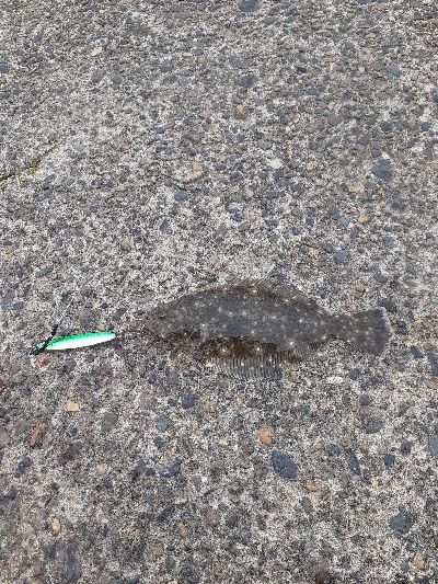 お昼の短時間釣行