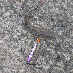 活性は高そうだが・・・