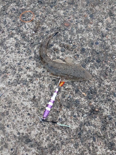 活性は高そうだが・・・