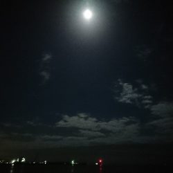 バチ抜けを兼ねて