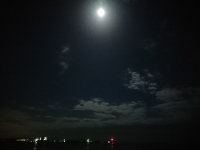 バチ抜けを兼ねて