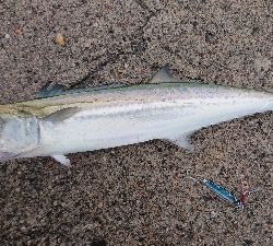 アメニモマケズ