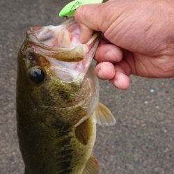 ペアリング打ち