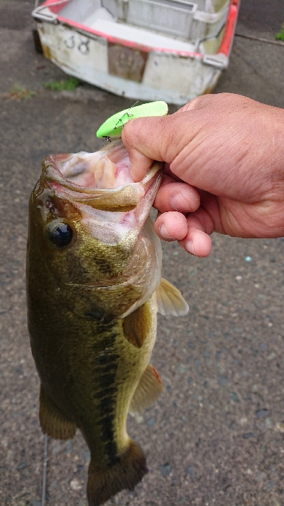 ペアリング打ち