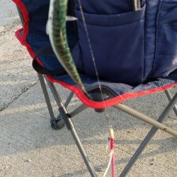 サビキリベンジ