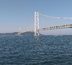 タコは居ました。