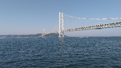 タコは居ました。