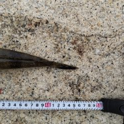 フラットフィッシュゲーム