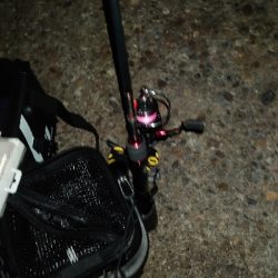 久々のツレと釣行