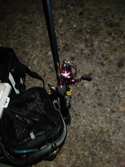 久々のツレと釣行