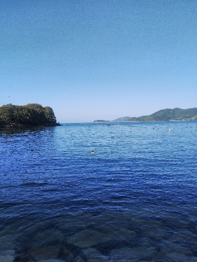 室津のキス釣り