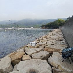 室津のキス釣り