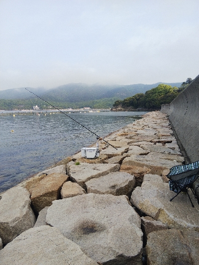 室津のキス釣り