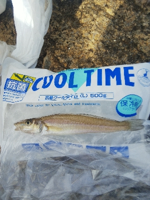 大塩海岸のキス釣り