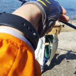 大塩海岸のキス釣り