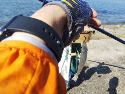 大塩海岸のキス釣り