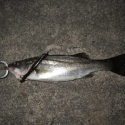 三密を避けて～