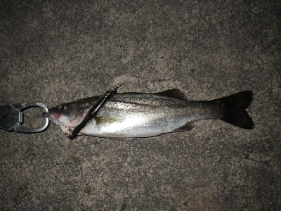 三密を避けて～