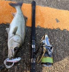 色々試して･・