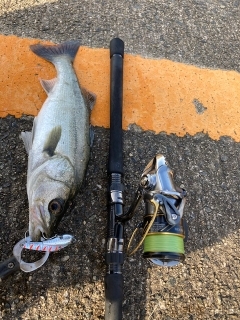 色々試して･・