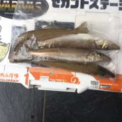 ゴールデンウィーク