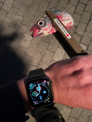 久しぶりの爆風アジング