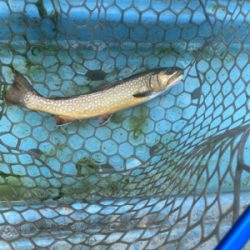 栃木市総合運動公園フィッシングフィールド