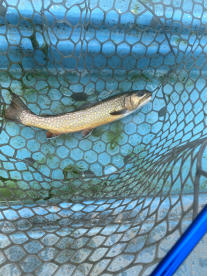 栃木市総合運動公園フィッシングフィールド