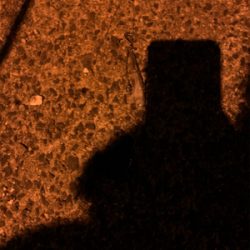 ナイトのハクパターン！