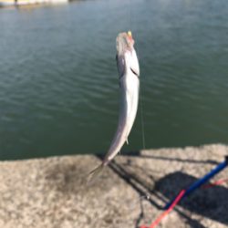 久しぶり行ってきました。