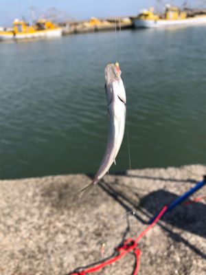 久しぶり行ってきました。