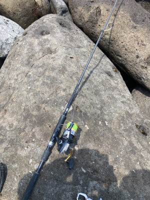 ゴールデンウィークのサラシヒラスズキ！！