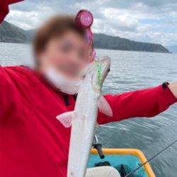 ボートジギング&タイラバ&胴突き仕掛け