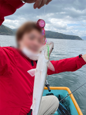 ボートジギング&タイラバ&胴突き仕掛け