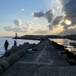 カレイ釣り、キス釣り