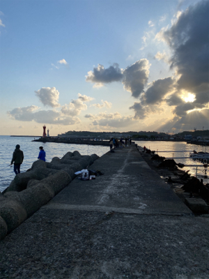 カレイ釣り、キス釣り