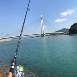 ちょい投げの釣果