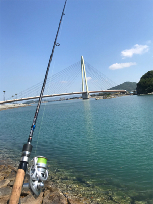 ちょい投げの釣果
